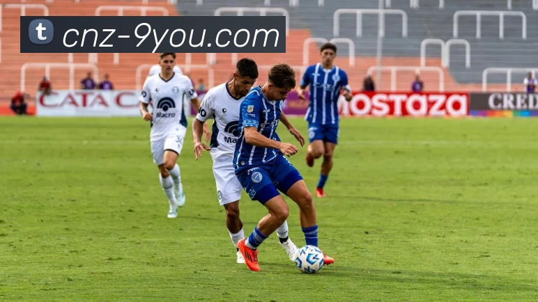 九游平台生态图